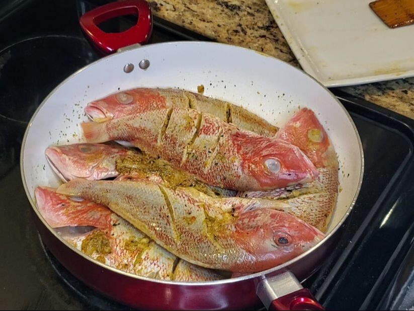 Haitian pwason salé /salty fish 4pcs -  Portugal